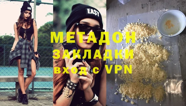 прущие грибы Бородино