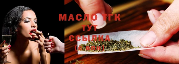 прущие грибы Бородино