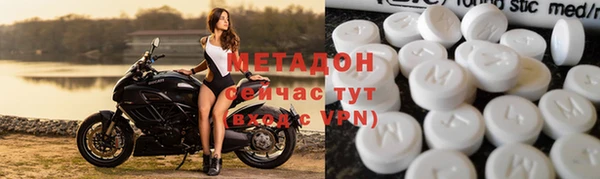 прущие грибы Бородино