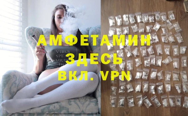 прущие грибы Бородино