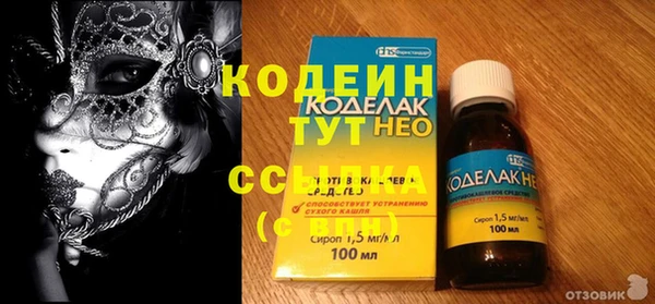 прущие грибы Бородино