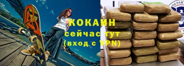прущие грибы Бородино