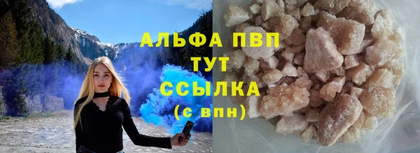 прущие грибы Бородино