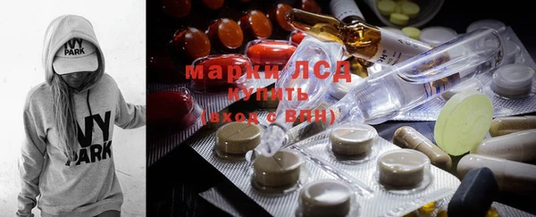 прущие грибы Бородино