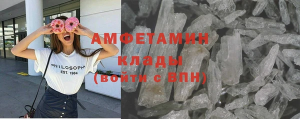 прущие грибы Бородино