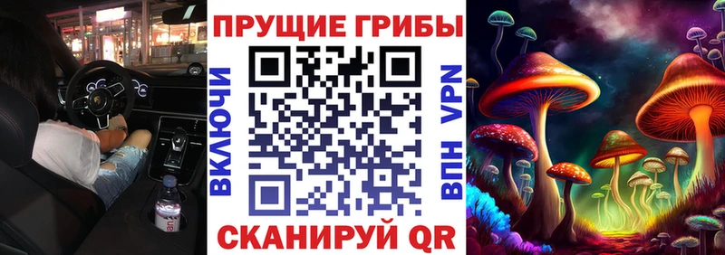 Псилоцибиновые грибы Magic Shrooms Санкт-Петербург
